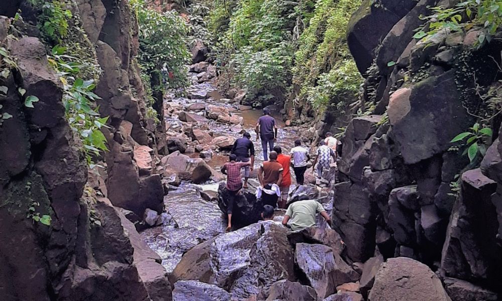 Panhalgad te pawankhin mohin