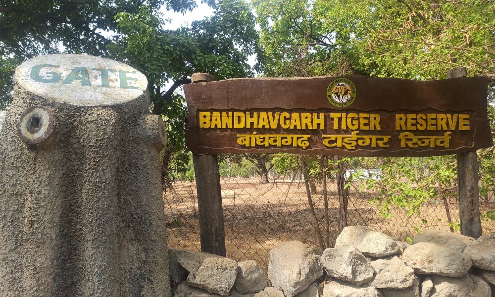 bandhavgad tiger reserve